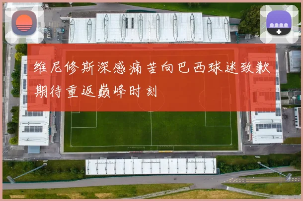 维尼修斯深感痛苦向巴西球迷致歉期待重返巅峰时刻