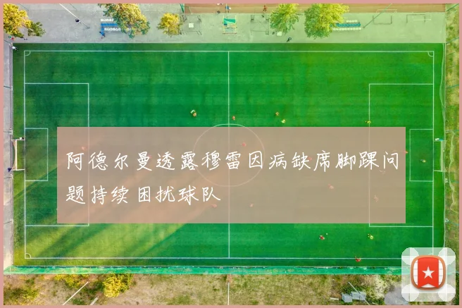 阿德尔曼透露穆雷因病缺席脚踝问题持续困扰球队