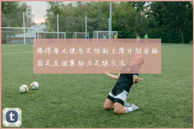 佛得角大使与足协副主席计划安排国足友谊赛助力足球交流