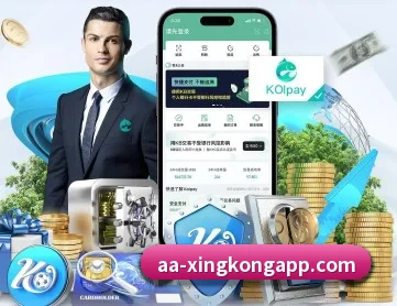 星空平台 APP 深度功能