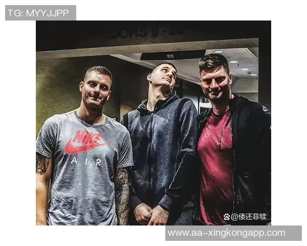 约基奇大哥因湖掘大战后事件承认指控获缓刑一年引发拳击球迷热议