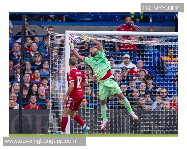 巴贝尔绝杀致敬若塔赛后模仿庆祝动作展现团队精神与友谊